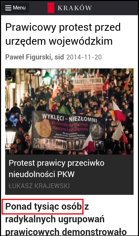 Wyborcza.pl - wg relacji, w proteście wzięło udział tysiąc osób. Dokładnie wiadomo też jakie grupy społeczene reprezentowali demonstranci.
